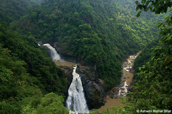 Magod Falls in the Western Ghats, a day trip from Gokarna