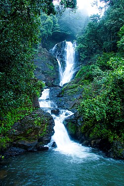 Vibhooti Falls near Yana surrounded by Western Ghats forest