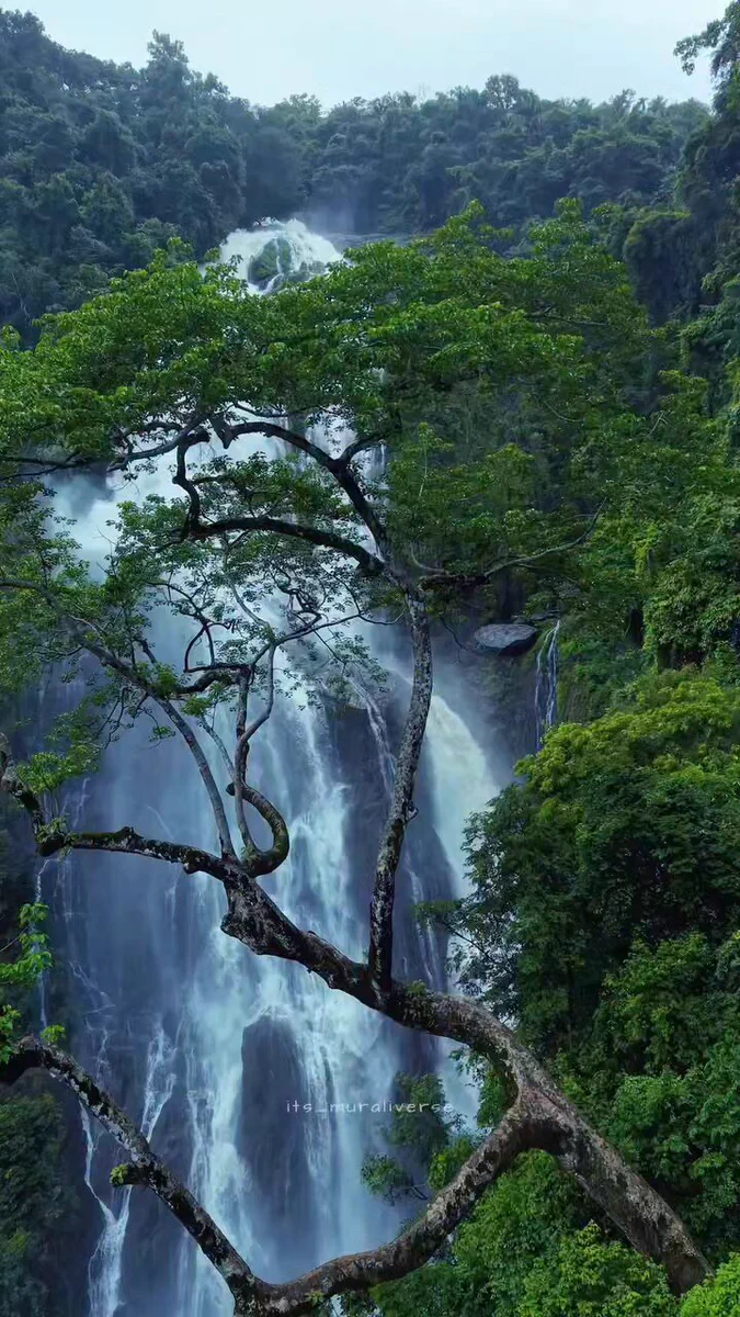 A forest waterfall in the Western Ghats near Gokarna